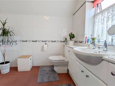 Picture 21